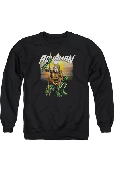 Gildan Justice League Of America Beach Sunset Adult Crewneck Sweatshirt In Black