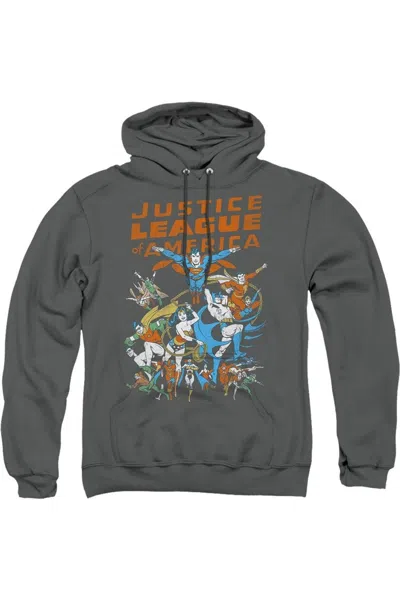 Gildan Justice League Of America Big Group Adult Pull Over Hoodie / Hooded Sweatshirt In Pink