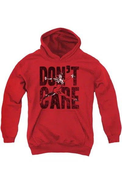Gildan Kids' Justice League Of America Dont Care Youth Pull Over Hoodie / Hooded Sweatshirt In Red