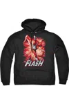 Gildan Justice League Of America Flash Red & Gray Adult Pull Over Hoodie / Hooded Sweatshirt In Black