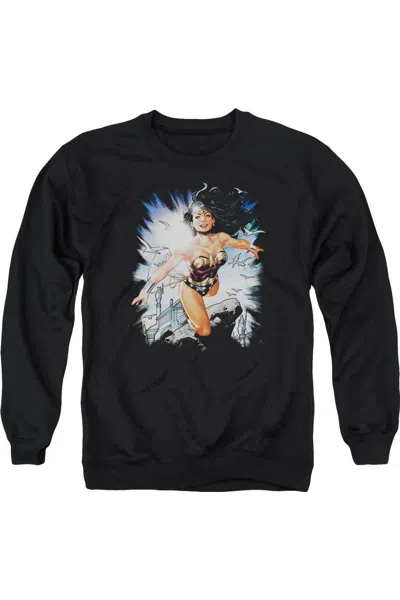 Gildan Justice League Of America Of Themyscira Adult Crewneck Sweatshirt In Black