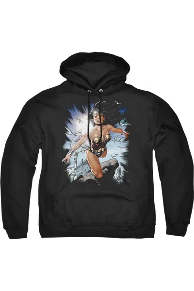 Gildan Justice League Of America Of Themyscira Adult Pull Over Hoodie / Hooded Sweatshirt In Black