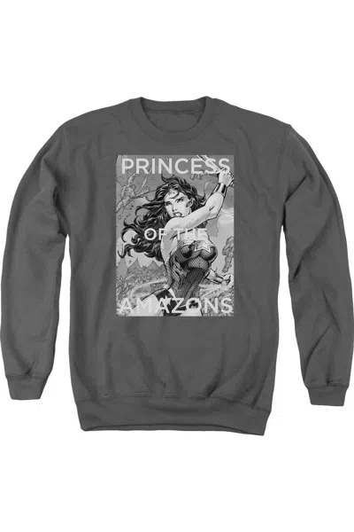 Gildan Justice League Of America Princess Of The Amazons Adult Crewneck Sweatshirt In Pink