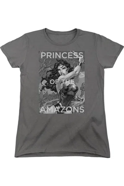 Gildan Justice League Of America Princess Of The Amazons Short Sleeve Womens Tee / T-shirt In Gray