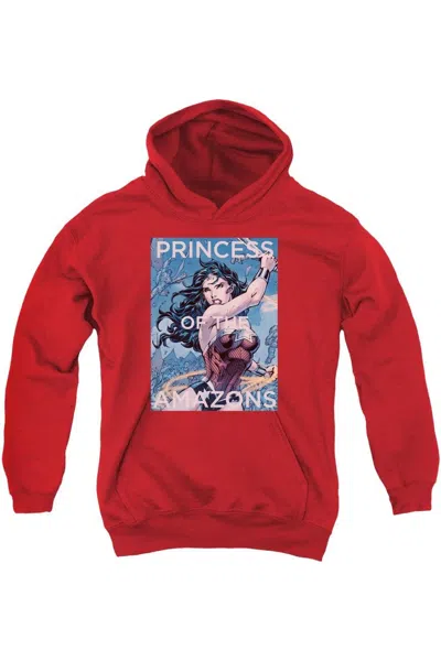 Gildan Kids' Justice League Of America Princess Of The Amazons Youth Pull Over Hoodie / Hooded Sweatshirt In Red