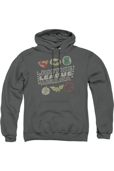 Gildan Justice League Of America Symbols Adult Pull Over Hoodie / Hooded Sweatshirt In Gray