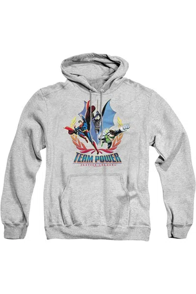 Gildan Justice League Of America Team Power Adult Pull Over Hoodie / Hooded Sweatshirt In Multi
