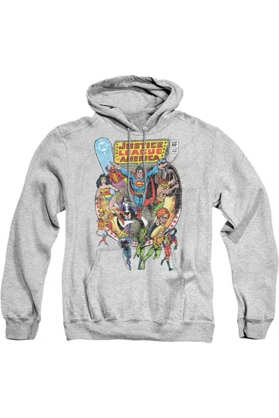 Gildan Justice League Of America Team Up Adult Pull Over Hoodie / Hooded Sweatshirt In Multi