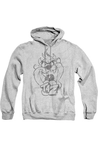 Gildan Looney Tunes Faded Taz Adult Pull Over Hoodie / Hooded Sweatshirt In Multi