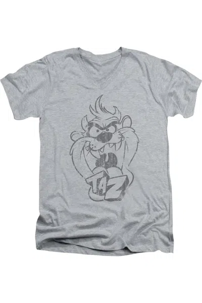 Gildan Looney Tunes Faded Taz Short Sleeve Adult V Neck Premium Cotton Tee / T-shirt In Multi