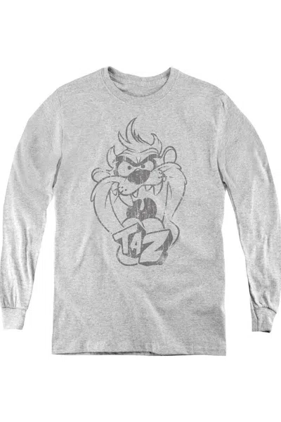 Gildan Kids' Looney Tunes Faded Taz Youth Long Sleeve Tee / T-shirt In Gray