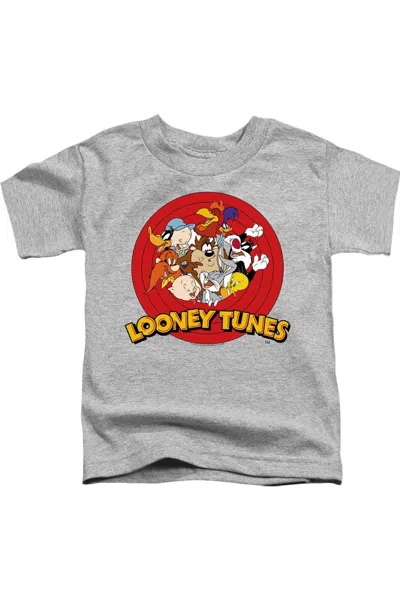 Gildan Kids' Looney Tunes Group Short Sleeve Juvenile Tee / T-shirt In Gray