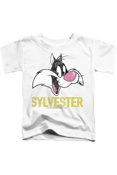 Gildan Kids' Looney Tunes Sylvester Short Sleeve Toddler Tee / T-shirt In Gray