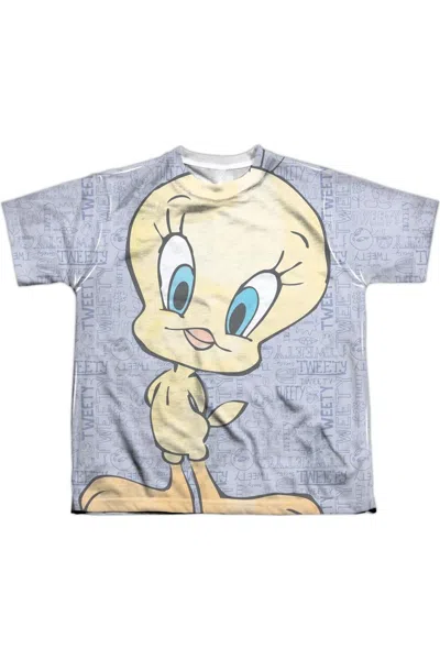 Gildan Kids' Looney Tunes Tweety Girl Short Sleeve Youth Poly Crew Tee / T-shirt In Blue