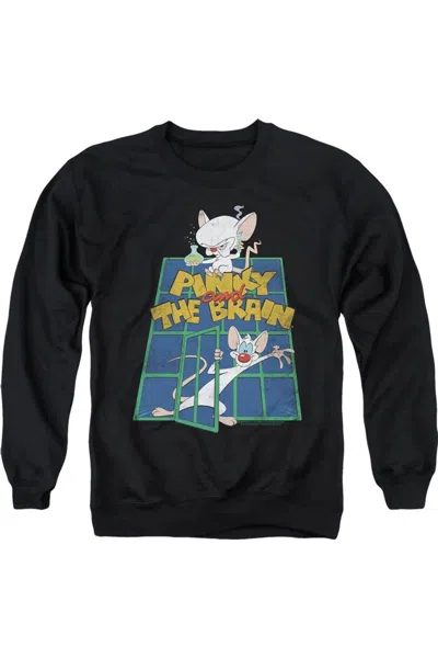 Gildan Pinky And The Brain Ol Standard Adult Crewneck Sweatshirt In Black