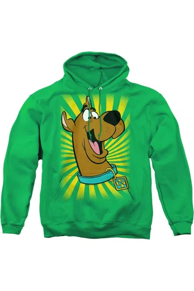 Gildan Scooby Doo Adult Pull Over Hoodie / Hooded Sweatshirt In Green