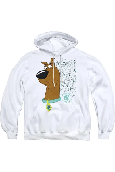 Gildan Scooby Doo Evolution Of Scooby Doo Adult Pull Over Hoodie / Hooded Sweatshirt In White