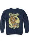 Gildan Scooby Doo Where Are You Adult Crewneck Sweatshirt In Blue