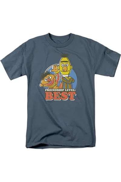 Gildan Sesame Street Bert & Ernie Friendship Level: Best Short Sleeve Adult Tee / T-shirt In Grey