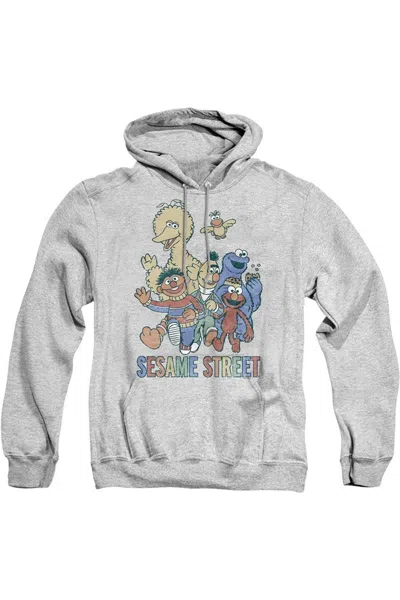 Gildan Sesame Street Colorful Group Adult Pull Over Hoodie In Multi