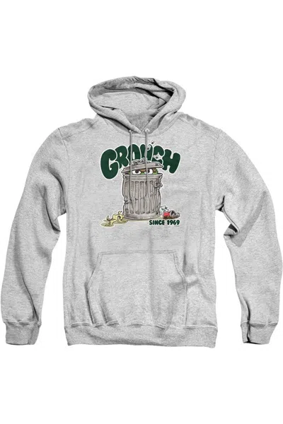 Gildan Sesame Street Grouch Adult Pull Over Hoodie In Multi
