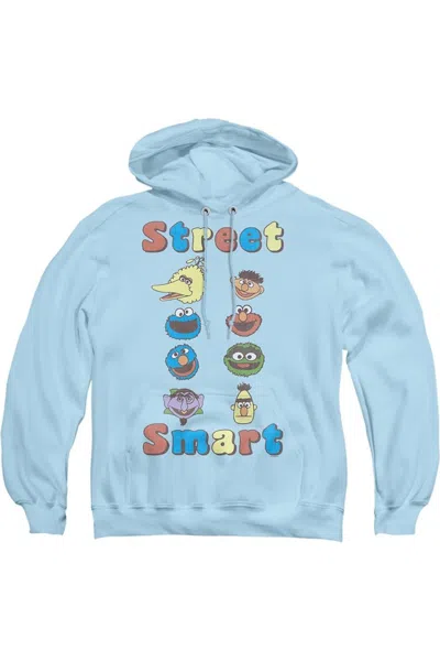Gildan Sesame Street Street Smart Adult Pull Over Hoodie In Blue