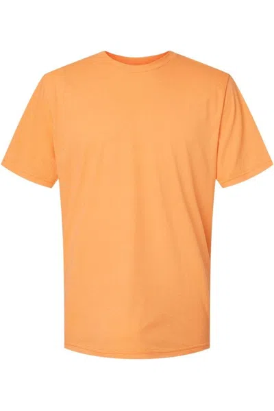 Gildan Softstyle Cvc T-shirt In Multi
