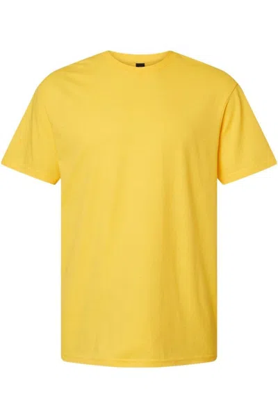 Gildan Softstyle Cvc T-shirt In Multi