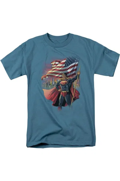 Gildan Superman American Hero Short Sleeve Adult Tee / T-shirt In Grey