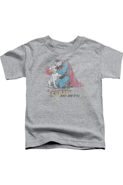 Gildan Kids' Superman And His Dog Short Sleeve Juvenile Tee / T-shirt In Gray