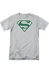 Gildan Superman Green & White Shield Short Sleeve Adult Tee / T-shirt In Multi