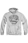 Gildan Superman Man Of Steel Shield Adult Pull Over Hoodie / Hooded Sweatshirt In Multi