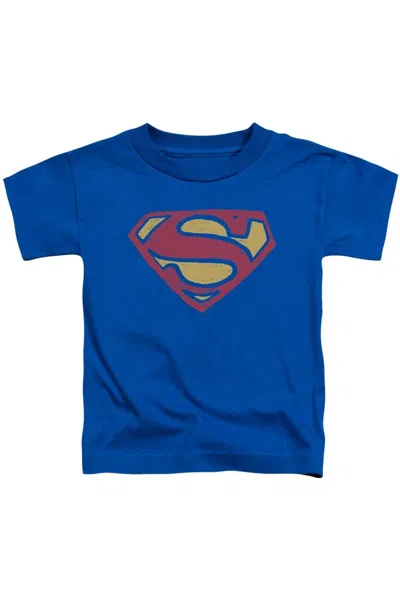 Gildan Kids' Superman Super Rough Short Sleeve Juvenile Tee / T-shirt In Blue