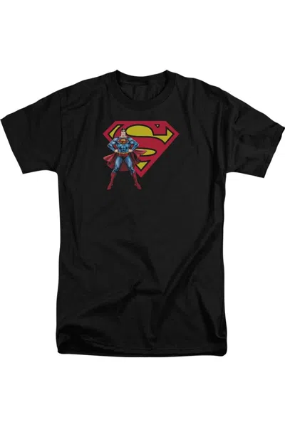 Gildan Superman Superman & Logo Short Sleeve Adult Tall Tee / T-shirt In Black