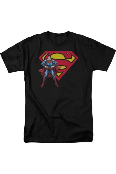 Gildan Superman Superman & Logo Short Sleeve Adult Tee / T-shirt In Black