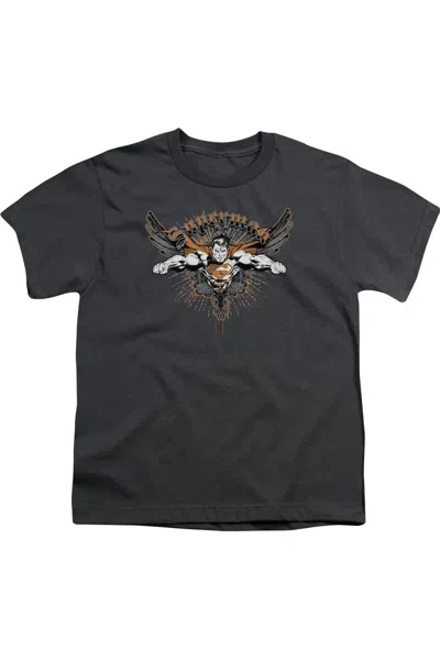 Gildan Kids' Superman Take Wing Short Sleeve Youth Tee / T-shirt In Gray