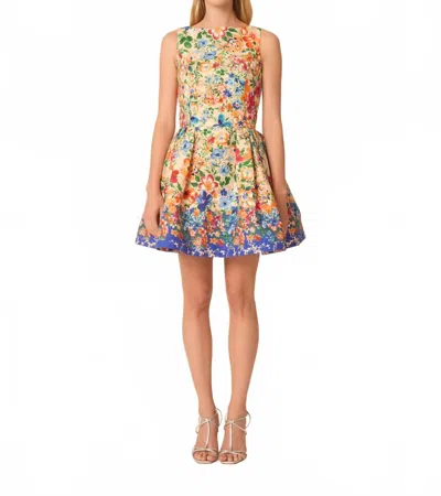 Gilner Farrar Adrianne Dress In Valley Of The Flowers In Multi