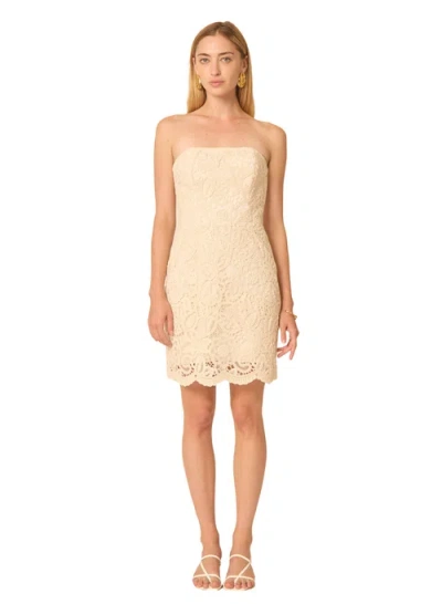 Gilner Farrar Solay Dress In Multi
