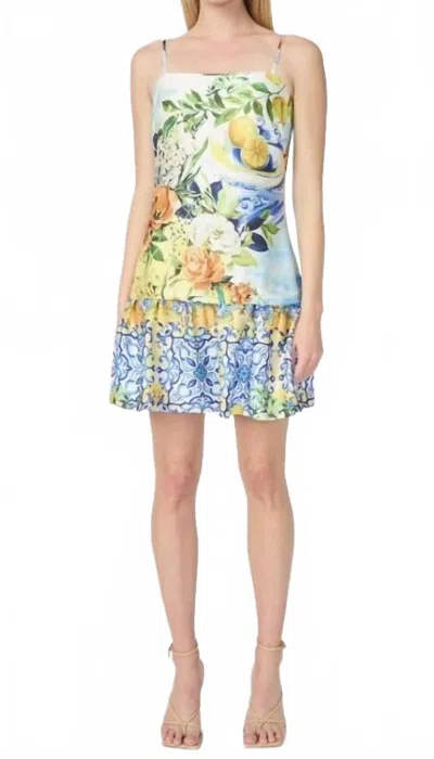 Gilner Farrar Soraya Dress In Portofino Print In Multi