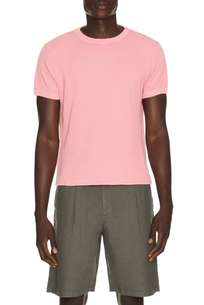 Gimaguas Max T-shirt In Pink