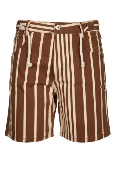 Gimaguas Shorts In Brownstripes