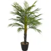 Ginger Birch Studio Green Faux Foliage Artificial Palm Tree In Green