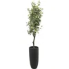 Ginger Birch Studio Green Faux Foliage Potted Artificial Eucalyptus Tree In Green