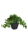 Ginger Birch Studio Green Faux Foliage Potted Artificial Plant In Green