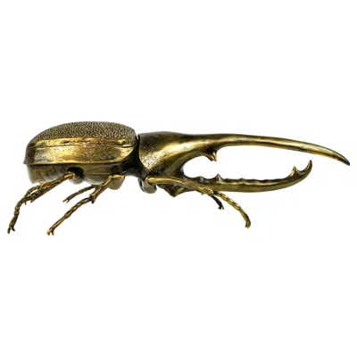 Pre-owned Ginger Brown Brass And Shagreen Box Hercules Scarab By