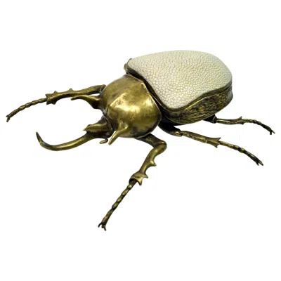 Pre-owned Ginger Brown Brass Box Goliath Scarab With Shagreen Lid By