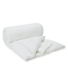 Gingerlily Half & Half Silk Filled Comforter, King In White
