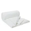 Gingerlily Half & Half Silk Filled Comforter, Queen In White