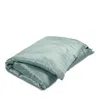 Gingerlily Silk Solid Duvet Cover, King In Green