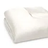 Gingerlily Silk Solid Duvet Cover, Queen In Ivory